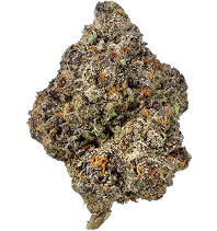 Indica